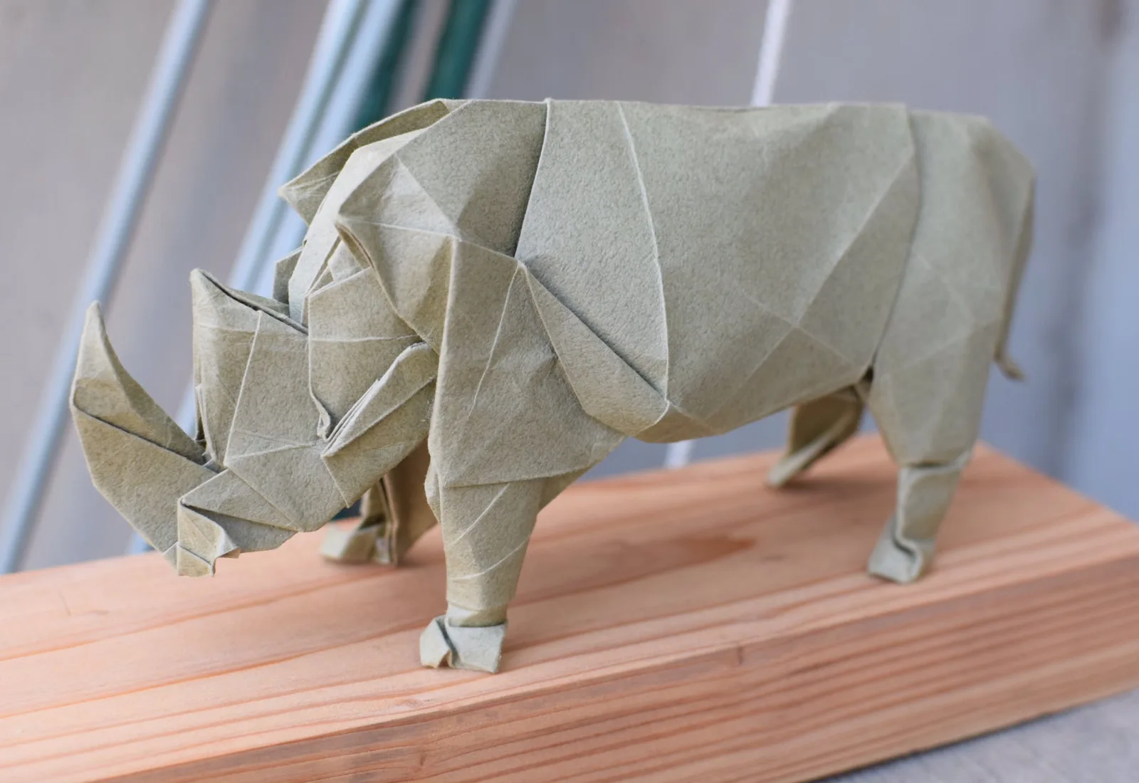 Rhinoceros 2