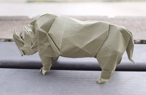 Rhinoceros 2