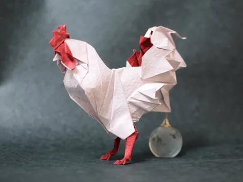 Rooster