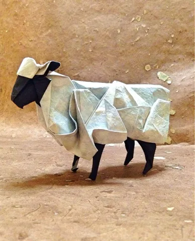 Sheep