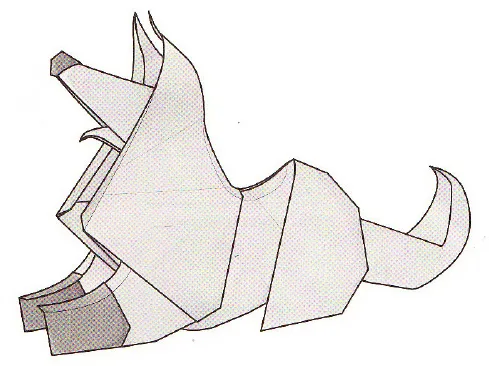 Collie