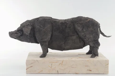 Agu (pig)␠