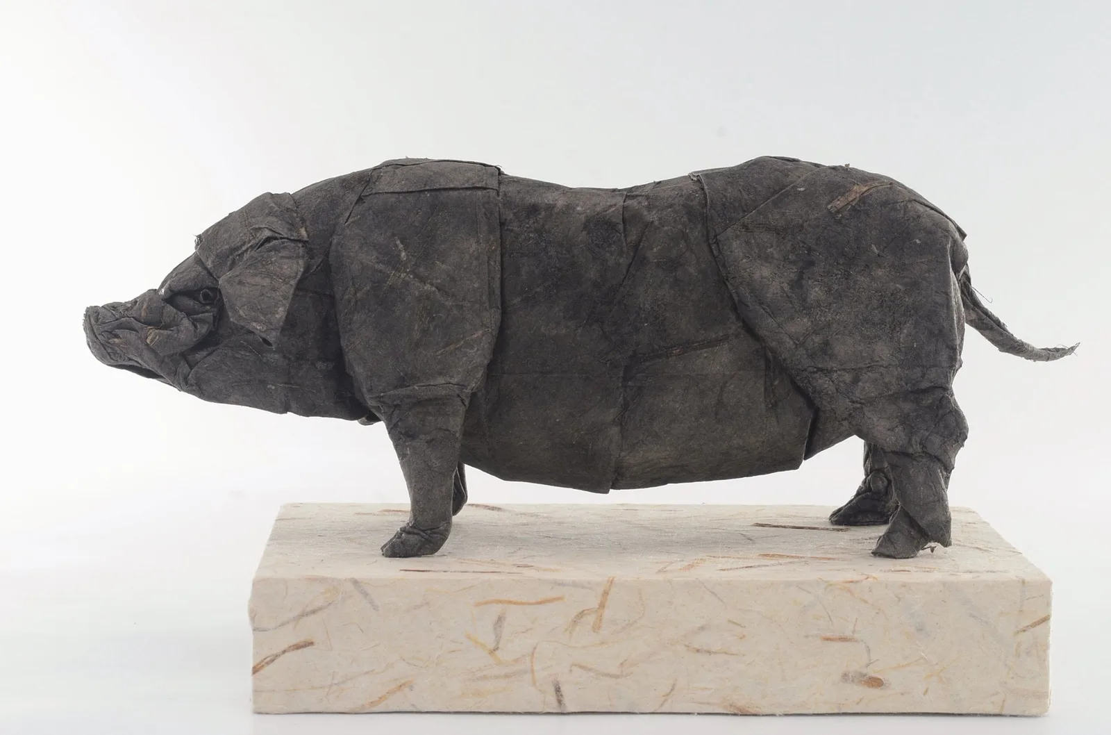 Agu (pig)␠