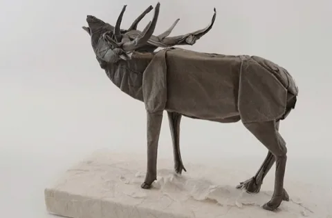 Elk