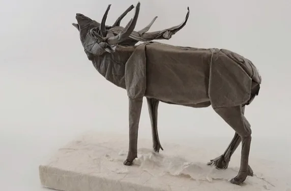 Elk
