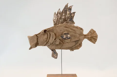 John Dory␠