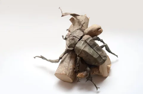 Long-armed scarab beetle