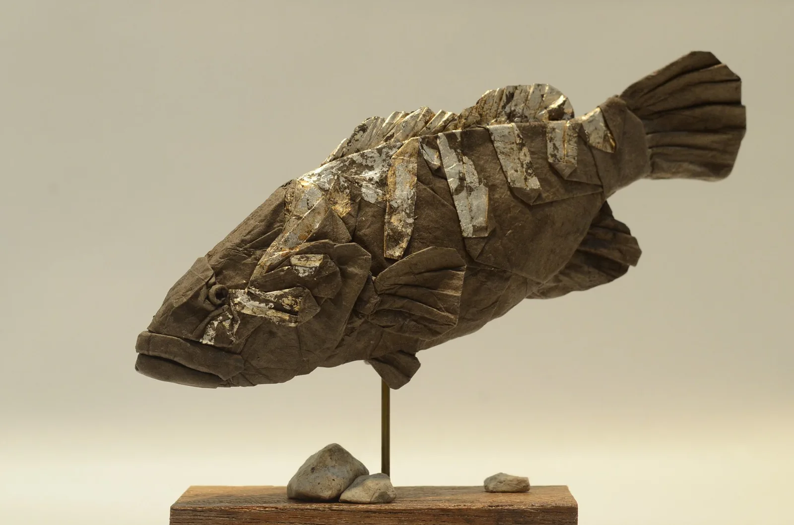 Longtooth grouper