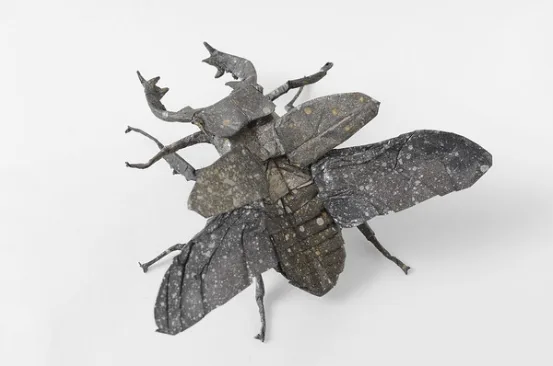 Miyama stag beetle