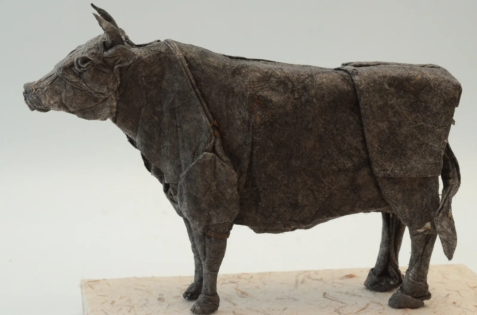 Ox