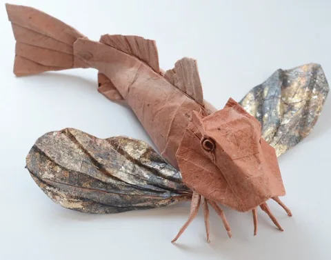 Red Gurnard