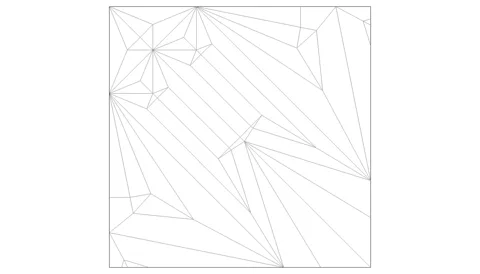 Salangidae — паттерн