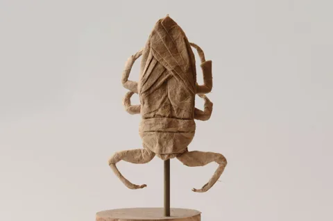 Water scorpion␠