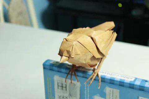 Sparrow