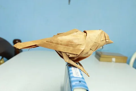 Sparrow