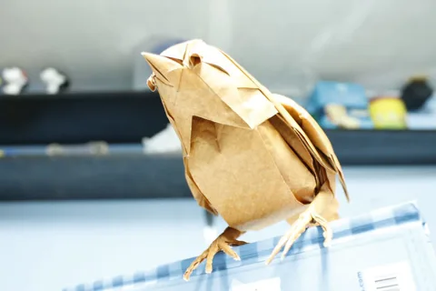 Sparrow