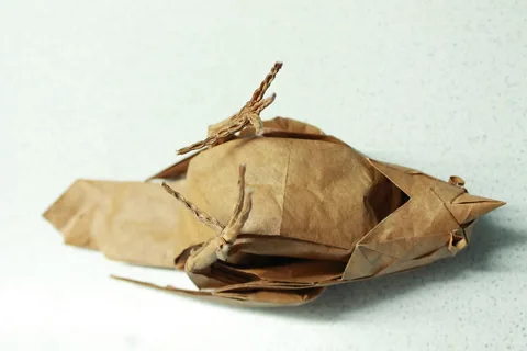 Sparrow