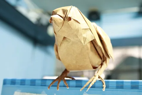 Sparrow