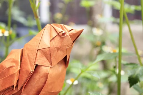 Sparrow