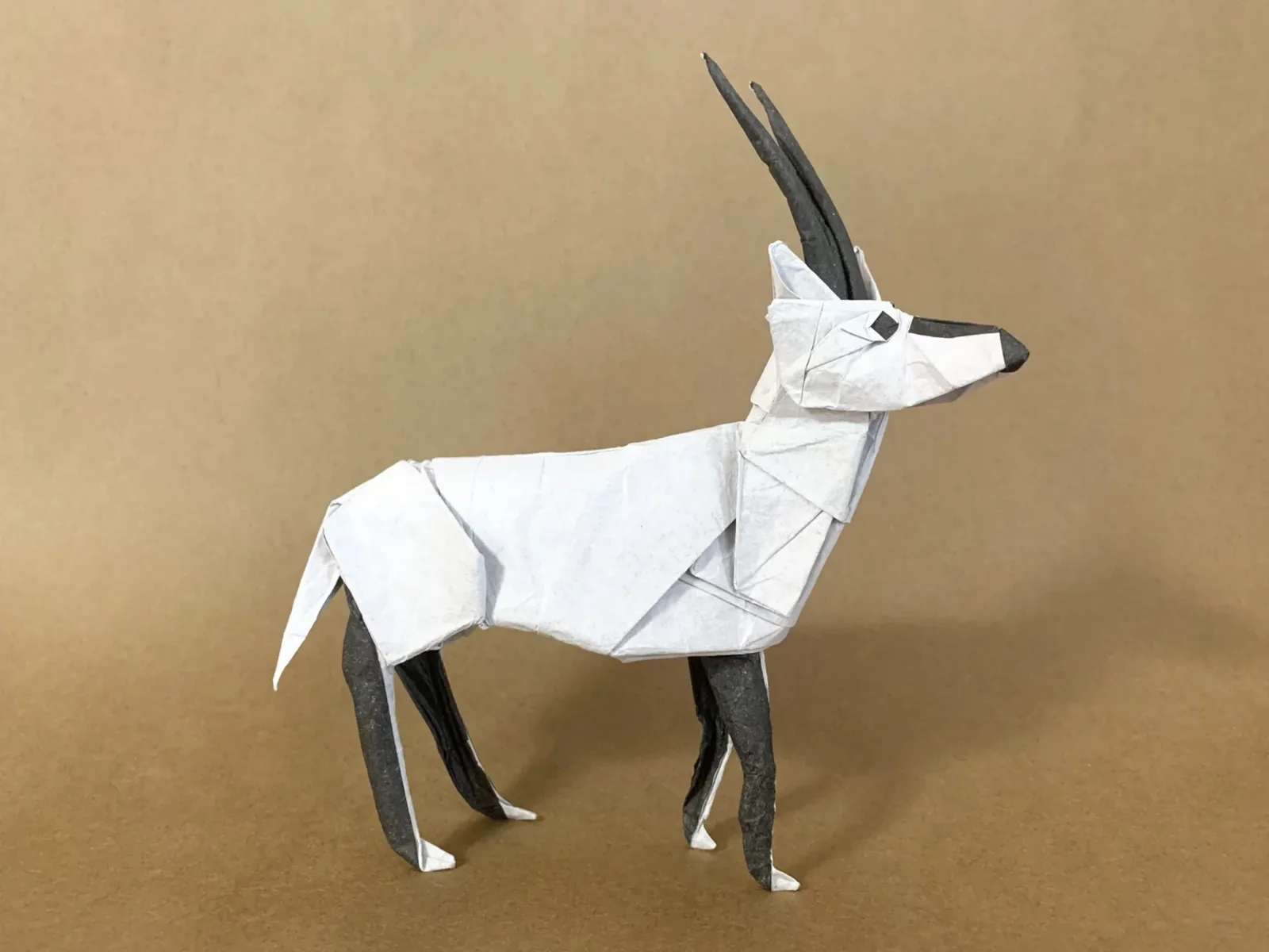 Arabian Oryx 2.0