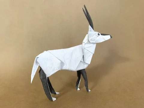 Arabian Oryx 2.0