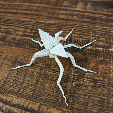 Crane Fly Basic
