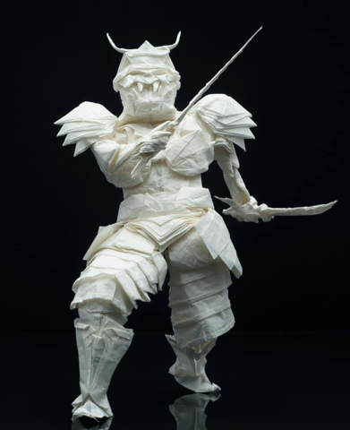 Samurai Warrior