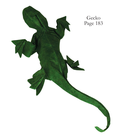 Gecko