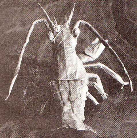 Astacus astacus