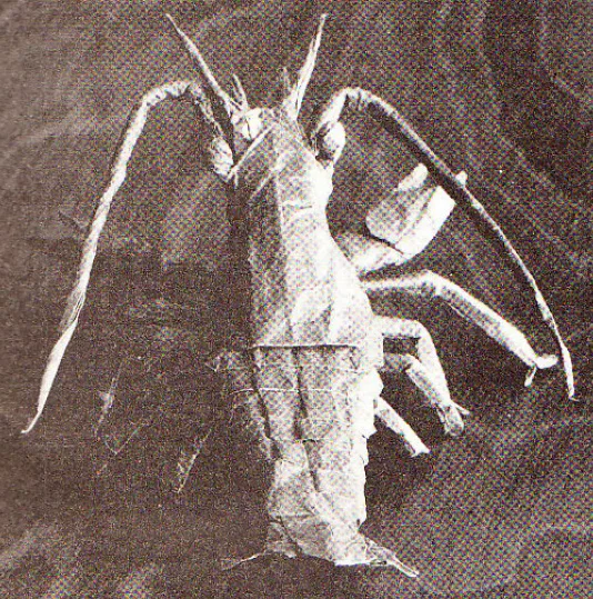 Astacus astacus