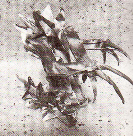 Hydralisk 2.8