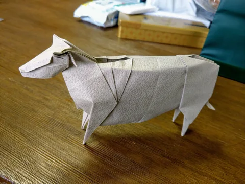 Cattle