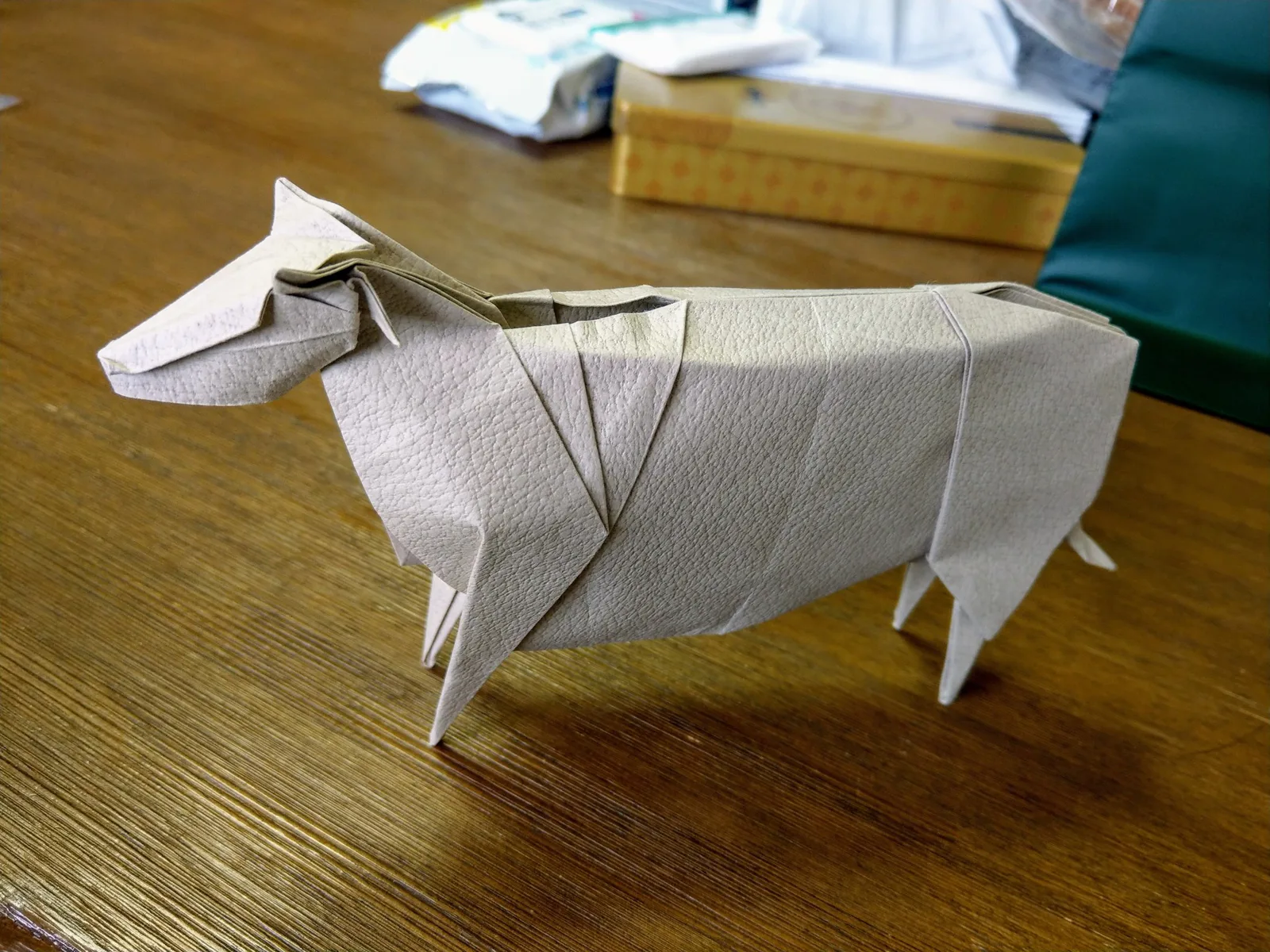 Cattle
