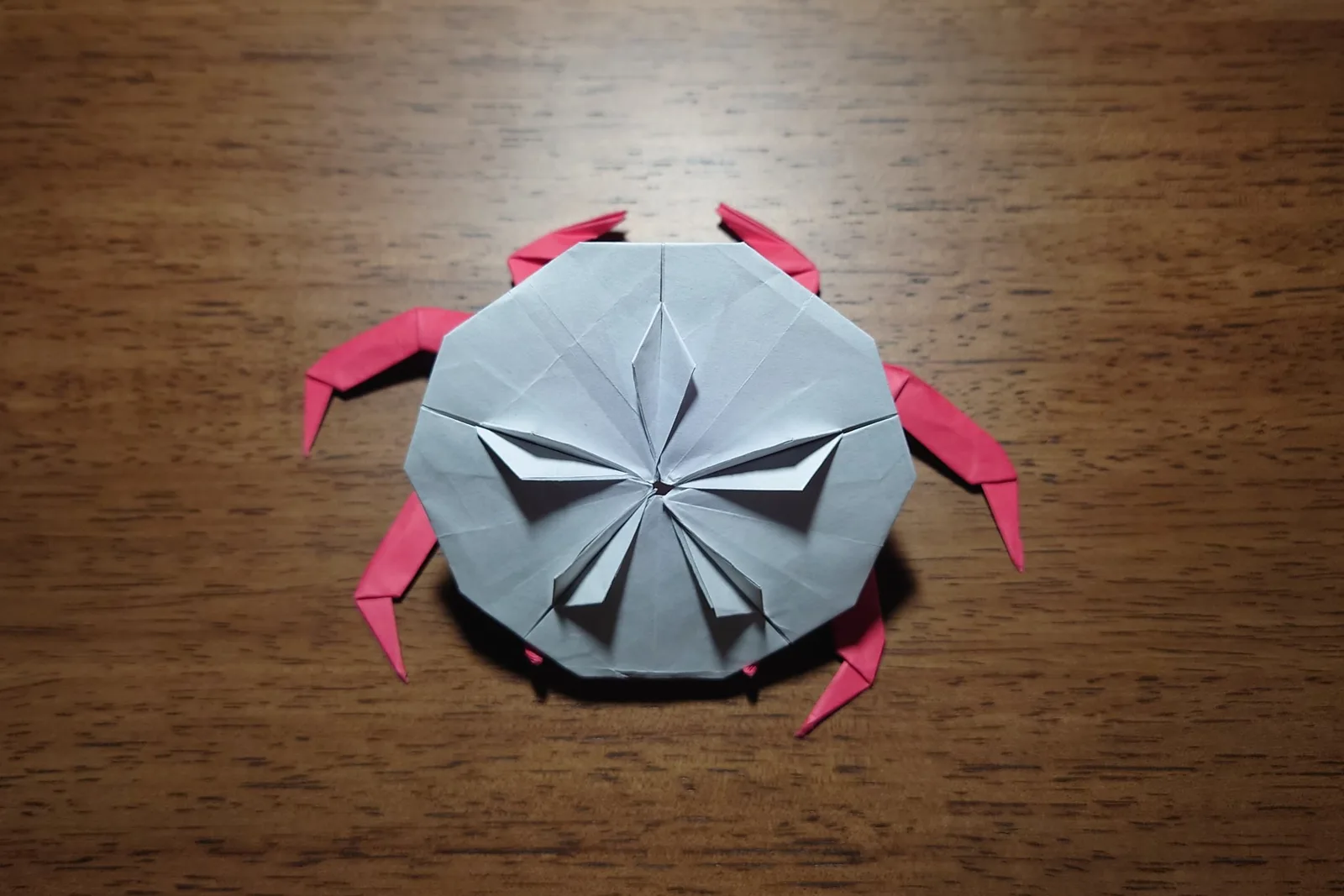 Crab Carrying a Sand Dollar