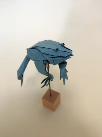 Dark Spotted Frog