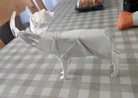 Deer-Moose