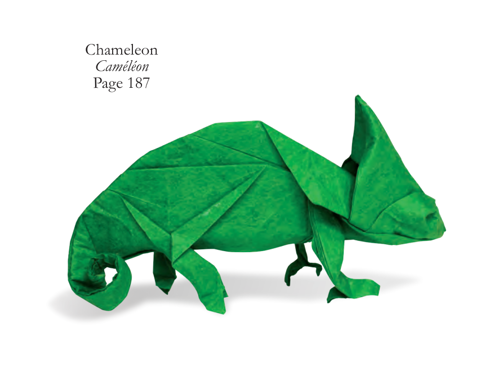 Chameleon