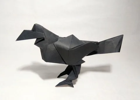 Jungle Crow