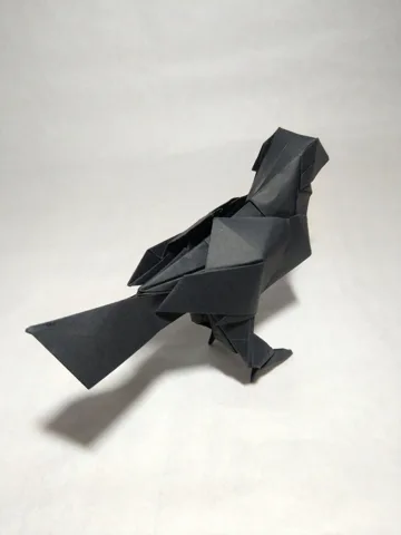 Jungle Crow