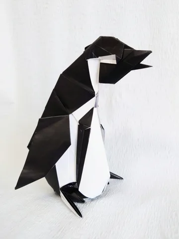 Megallanic Penguin