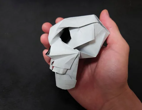 Skull