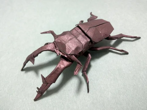 Stag beetle
