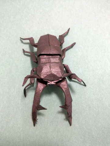Stag beetle