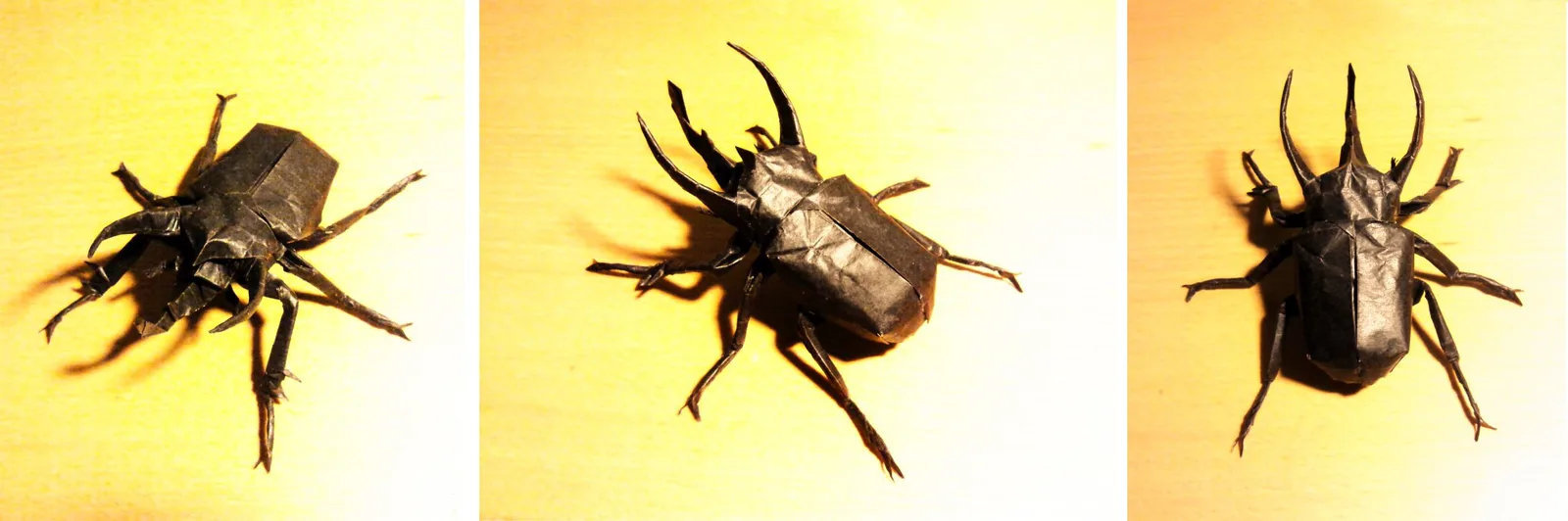 Atlas Beetle - Chalcosoma Caucasus v3.1
