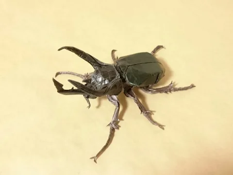 Atlas Beetle - Chalcosoma Caucasus v3.1