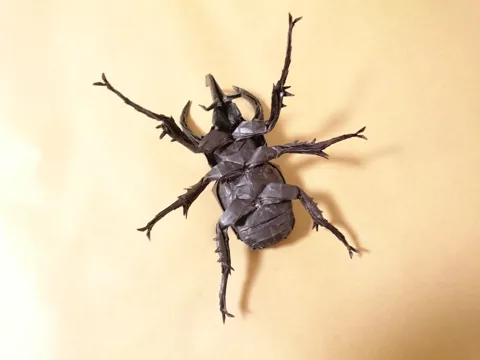 Atlas Beetle - Chalcosoma Caucasus v3.1