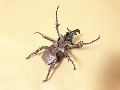Atlas Beetle - Chalcosoma Caucasus v3.1