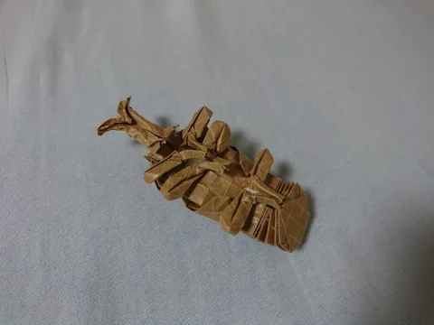 Beetle pupa
