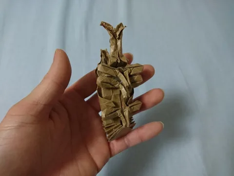 Beetle pupa