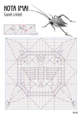 Camel Cricket — паттерн